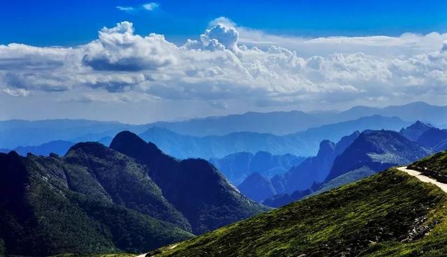 【环！！可挛髌鹁⒄吻亓氡甭次靼簿衬谖ソū鹗(组图)